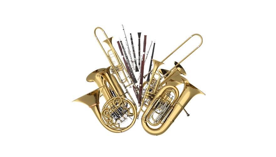 Discover Your Musical Talent!